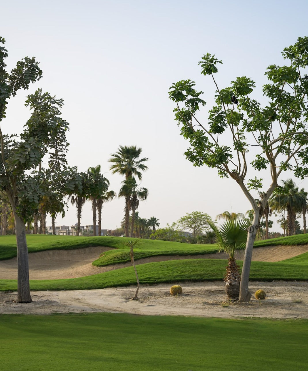 The G Hotels Egypt