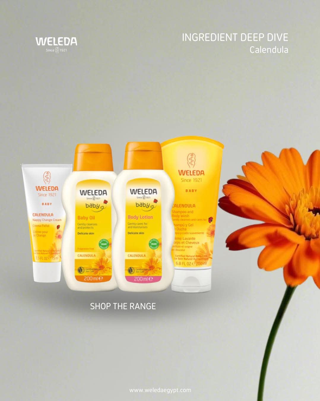 Weleda Egypt