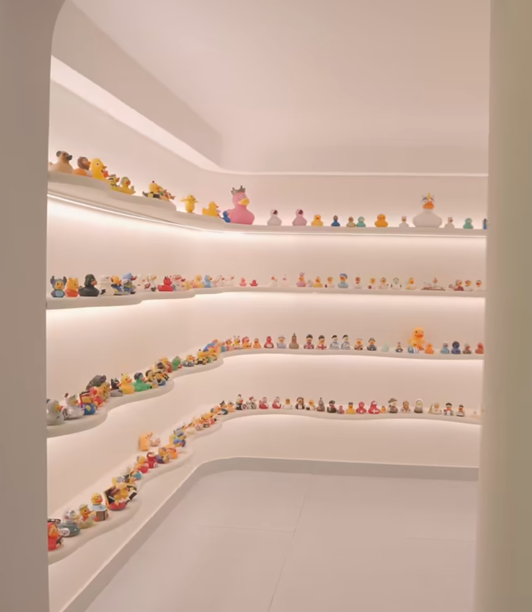 Chackal Dental Clinic