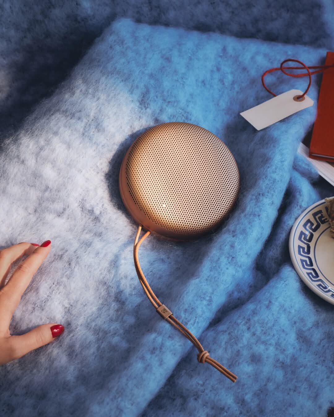 Bang & Olufsen (B&O)