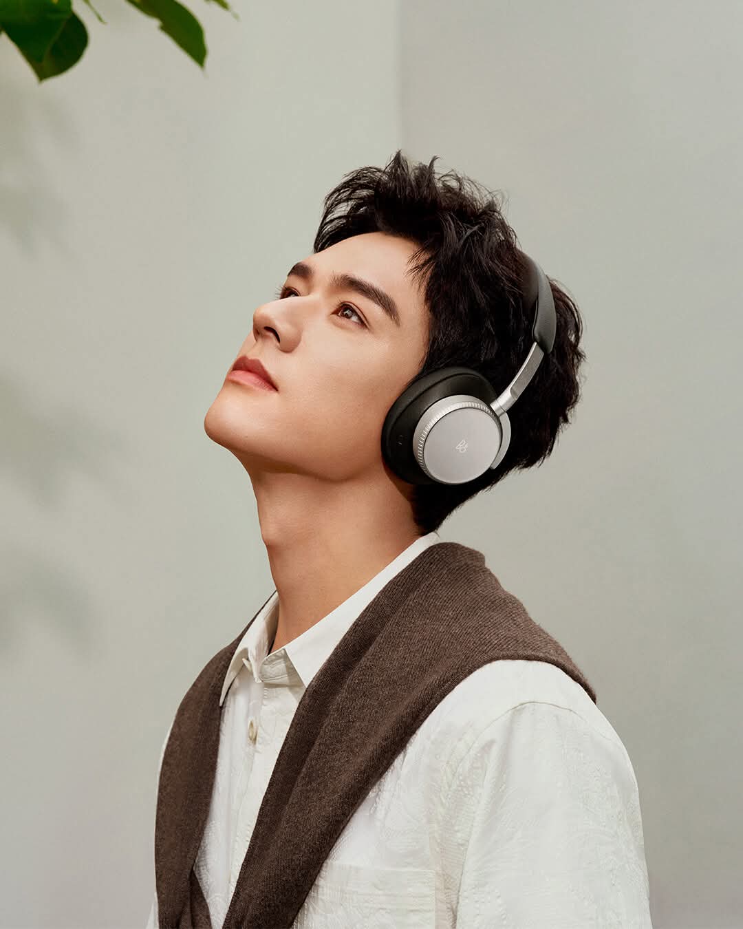 Bang & Olufsen (B&O)