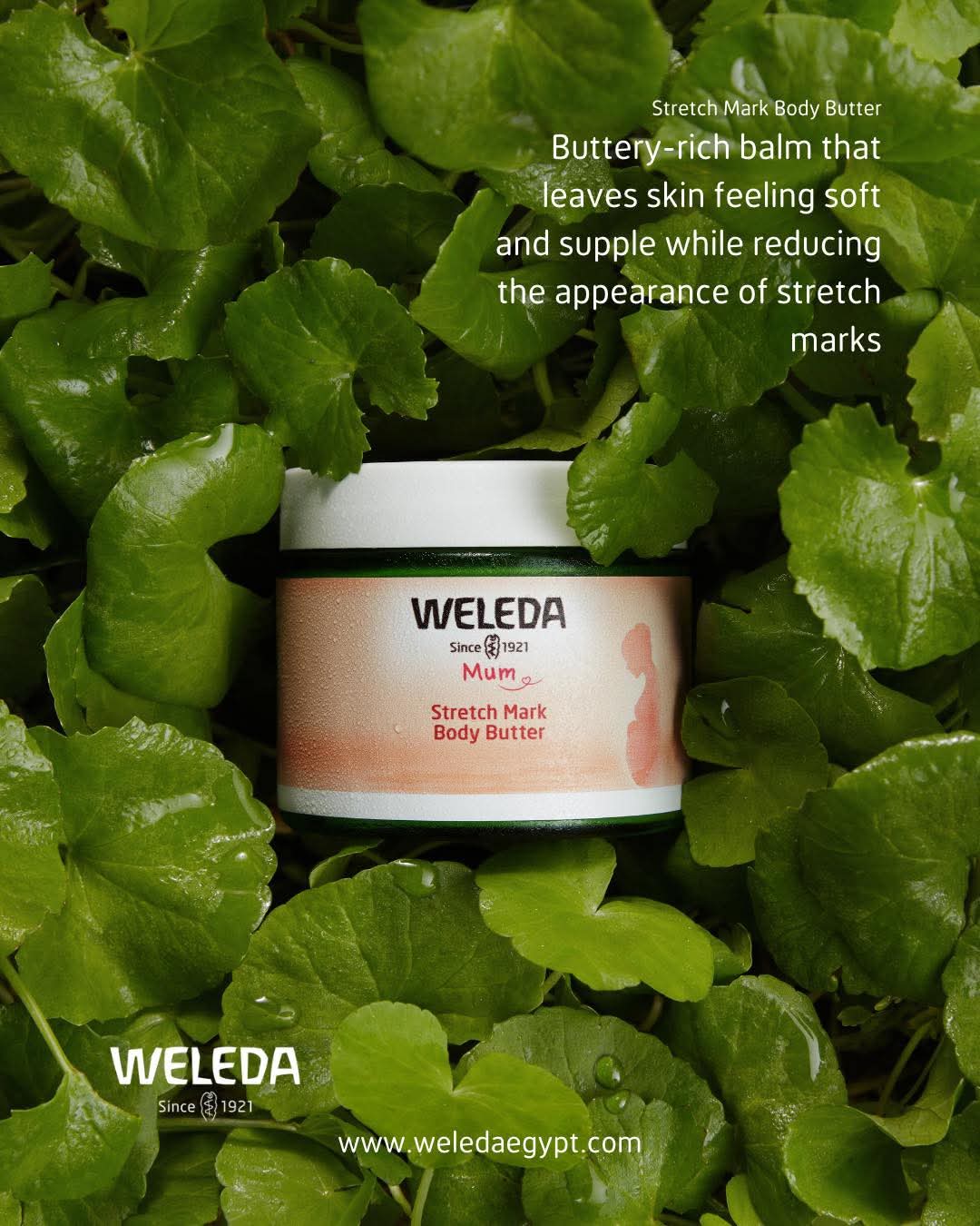 Weleda Egypt