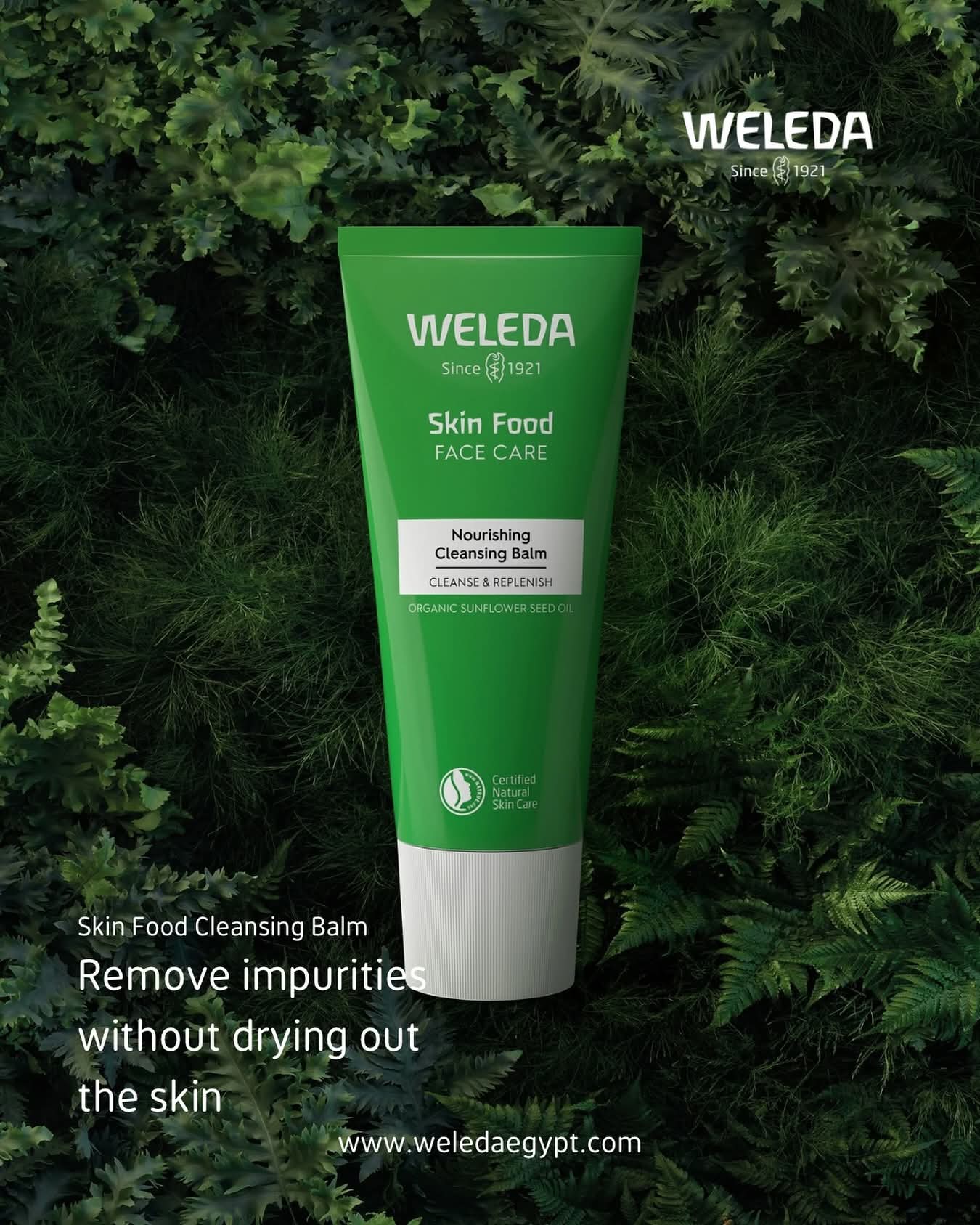 Weleda Egypt