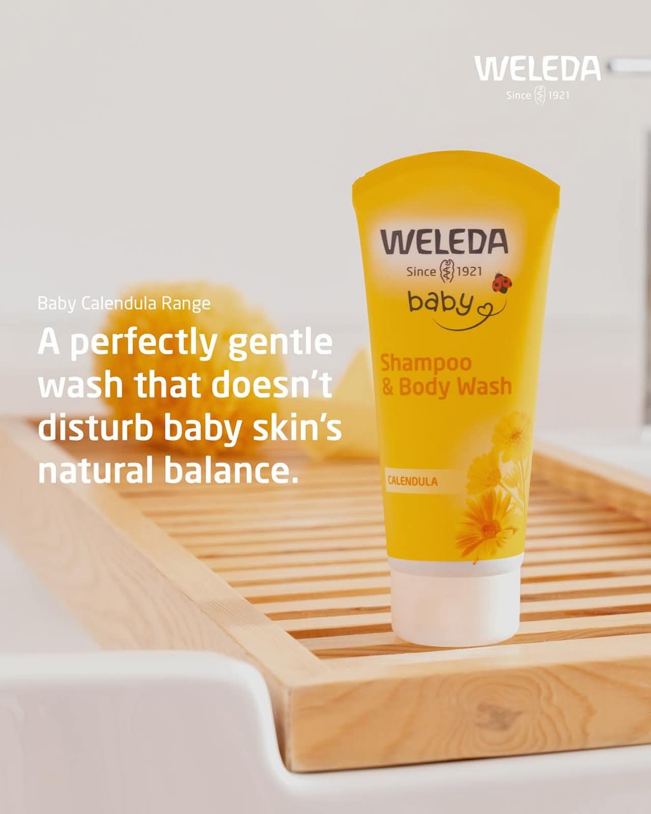 Weleda Egypt