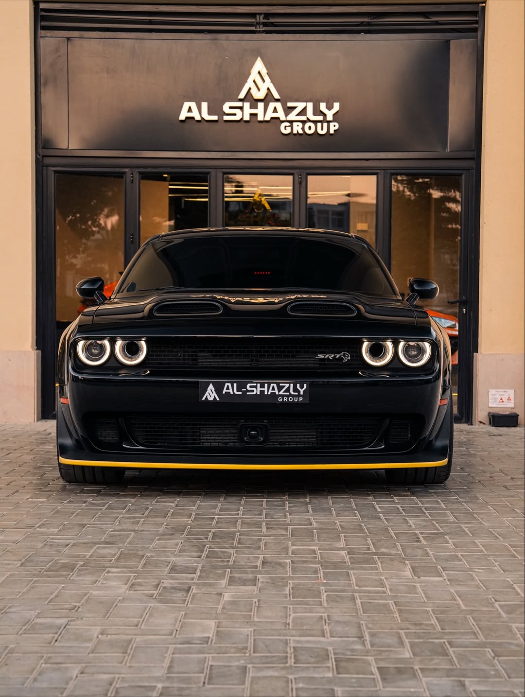 Al-Shazly Group