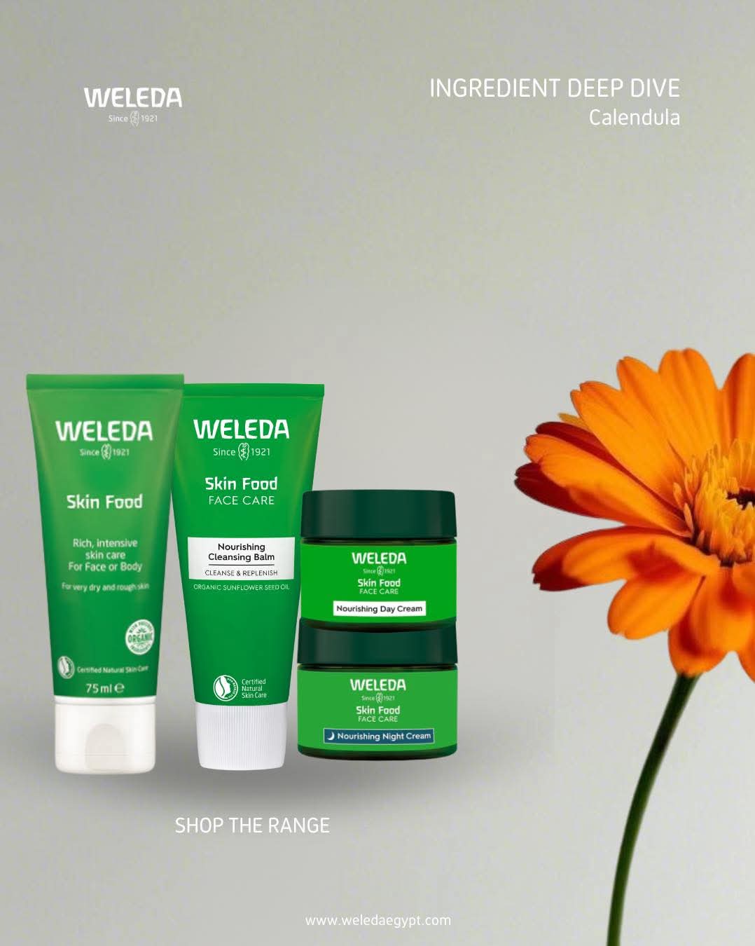Weleda Egypt