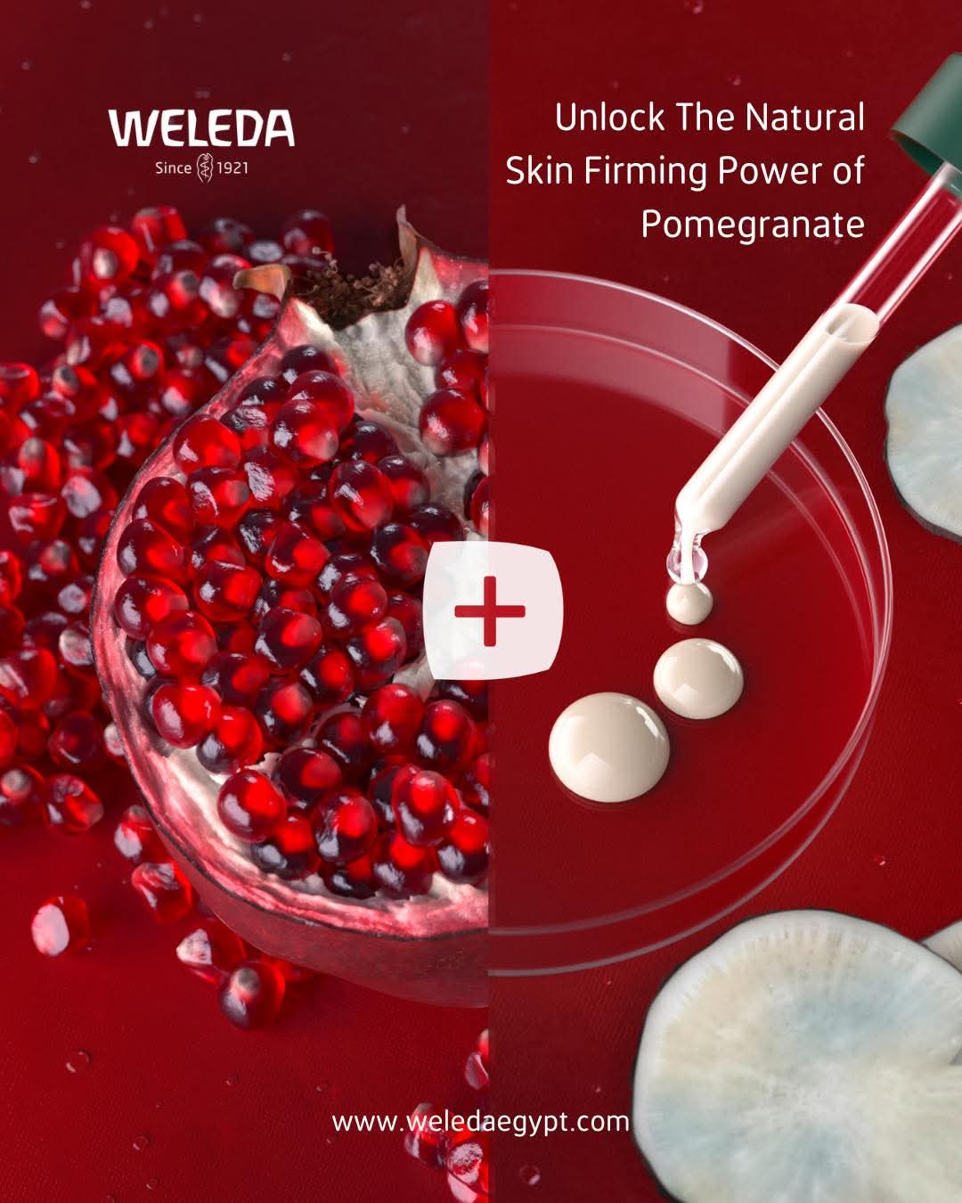 Weleda Egypt