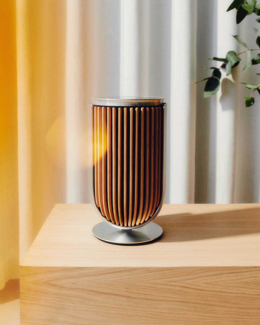 Bang & Olufsen (B&O)