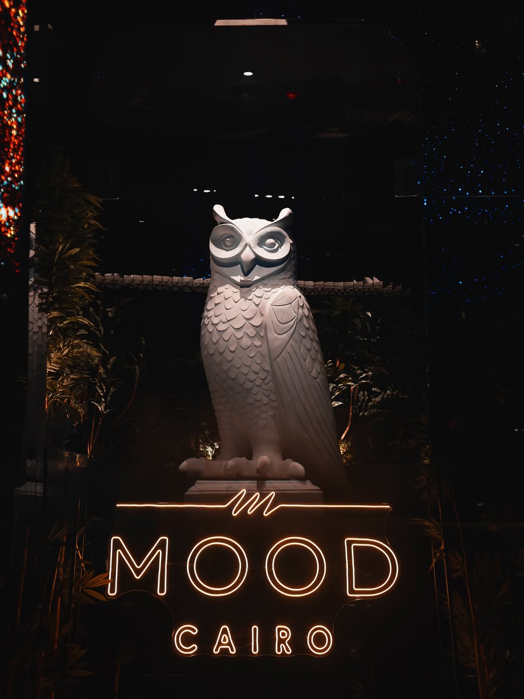 MOOD Rooftop Cairo